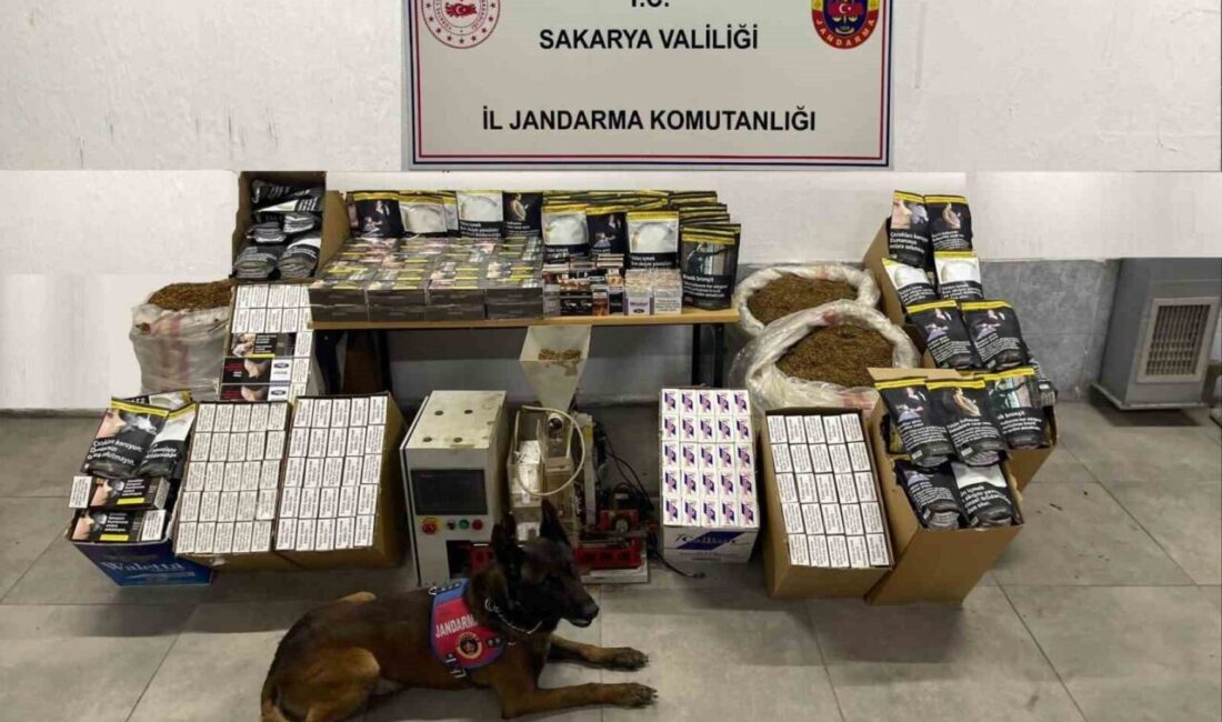 Sakarya’da jandarma ekiplerinin, kaçakçılıkla mücadele çalışmaları kapsamında Adapazarı ve Pamukova