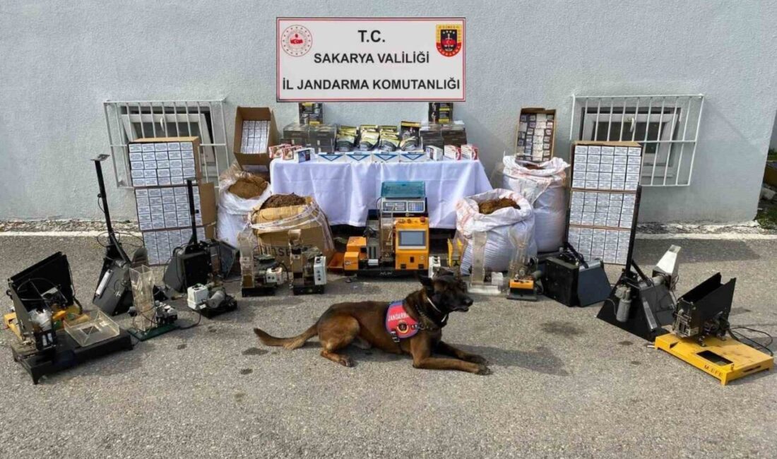 Sakarya’nın Geyve ve Karasu ilçelerinde jandarma ekiplerince düzenlenen kaçakçılık operasyonunda
