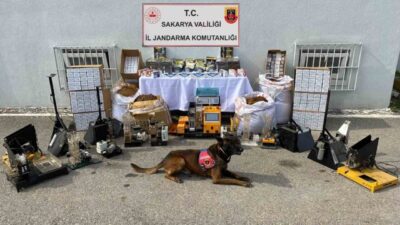 Sakarya’nın Geyve ve Karasu ilçelerinde jandarma ekiplerince düzenlenen kaçakçılık operasyonunda
