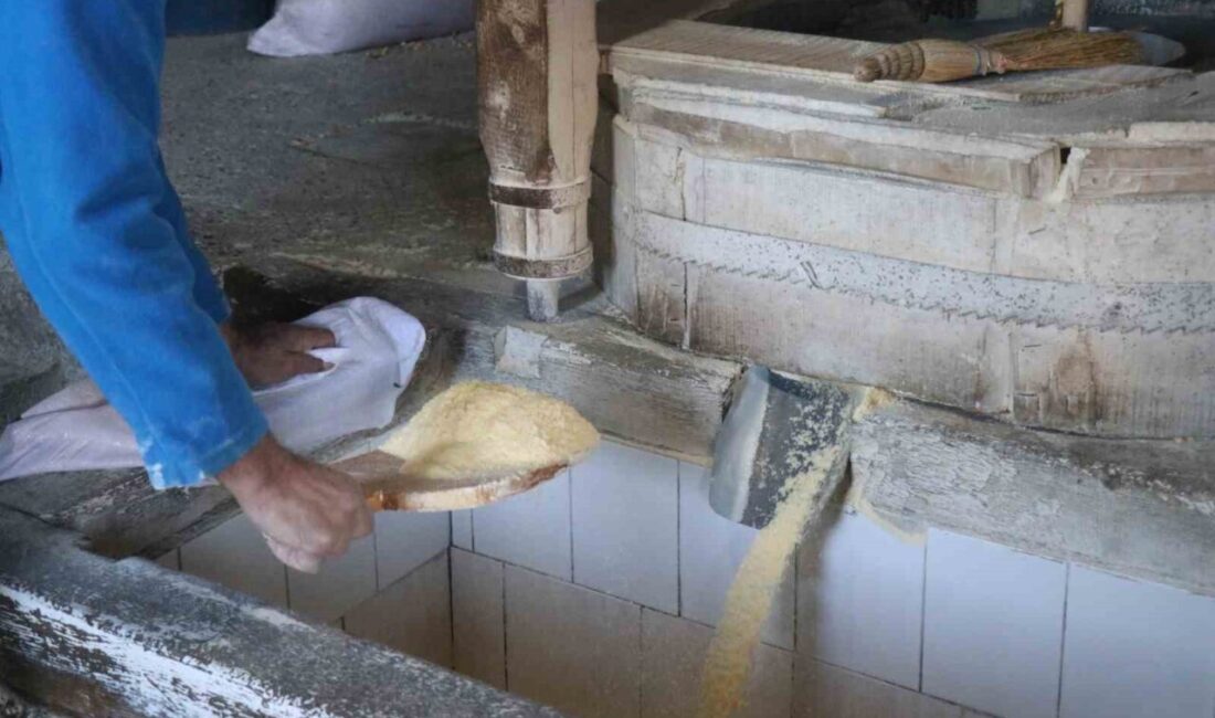 Sakarya’nın Erenler ilçesinde 6 kuşaktır aynı aile tarafından işletilen yaklaşık