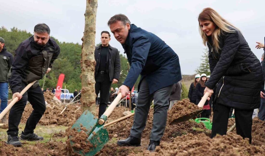 Bilecik’te Şeyh Edebali’nin vefatının 700. yıl dönümünde 700 çınar fidanı