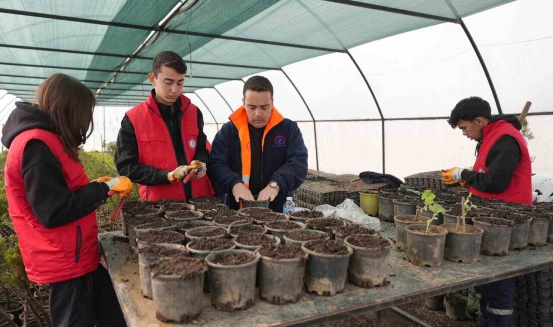 Düzce Belediyesi tarafından hayata geçirilen Tarım Akademisi, İbn-i Sina Mesleki