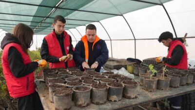 Düzce Belediyesi tarafından hayata geçirilen Tarım Akademisi, İbn-i Sina Mesleki