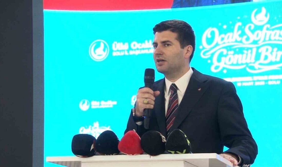 Ülkü Ocakları Genel Başkanı Ahmet Yiğit Yıldırım, “Sınırlarımız dışında yaşanan