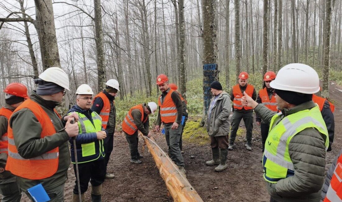 Bolu Orman Bölge Müdürlüğü İşletme ve Pazarlama Şube Müdürlüğü tarafından,