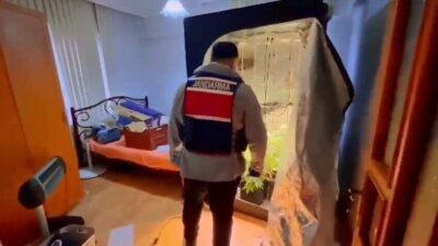 Yalova’da düzenlenen operasyonda, evinde iklimlendirme sistemi kurarak kenevir yetiştirdiği belirlenen