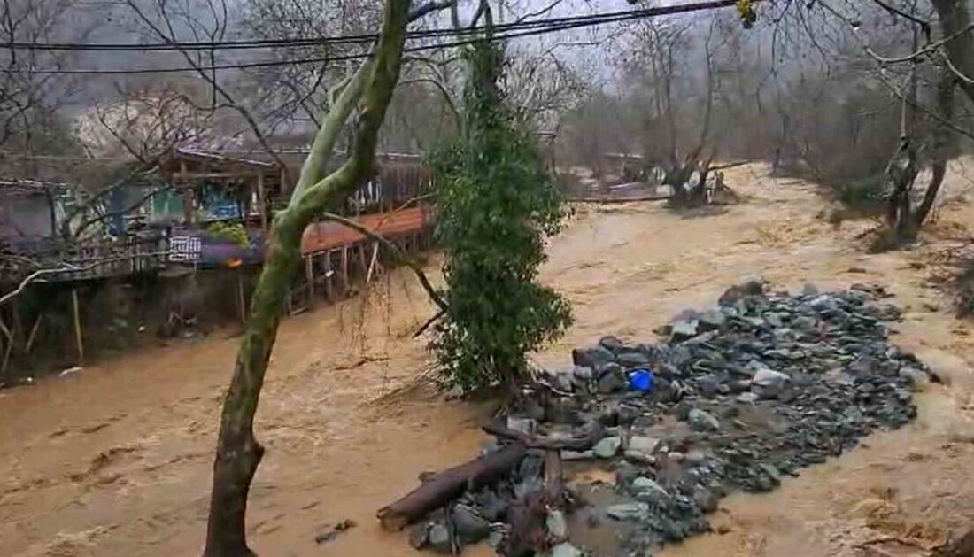Yalova’nın Çınarcık ilçesine bağlı Esenköy beldesinde son günlerde etkili olan