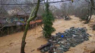 Yalova’nın Çınarcık ilçesine bağlı Esenköy beldesinde son günlerde etkili olan