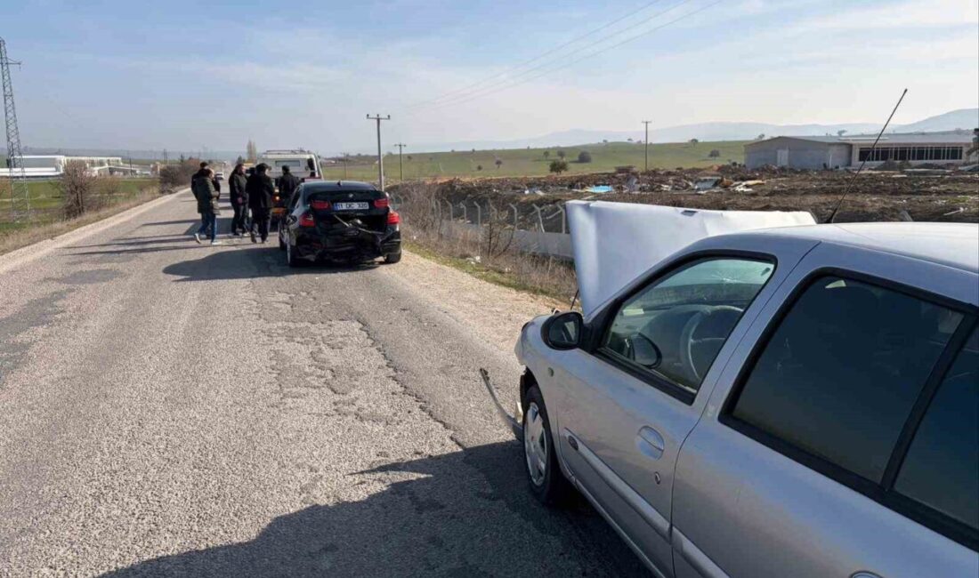 Bilecik’in Bozüyük ilçesi Dodurga beldesinde, yol üzerindeki kalas parçası sebebi