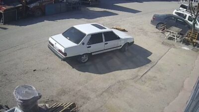 Bolu’da bir otomobil sürücüsü, yolda yatan köpeği ezdi. O anlar