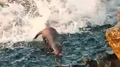 DÜZCE (İHA) – Düzce’nin Akçakoca ilçesinde Karadeniz’de balık avlayan su