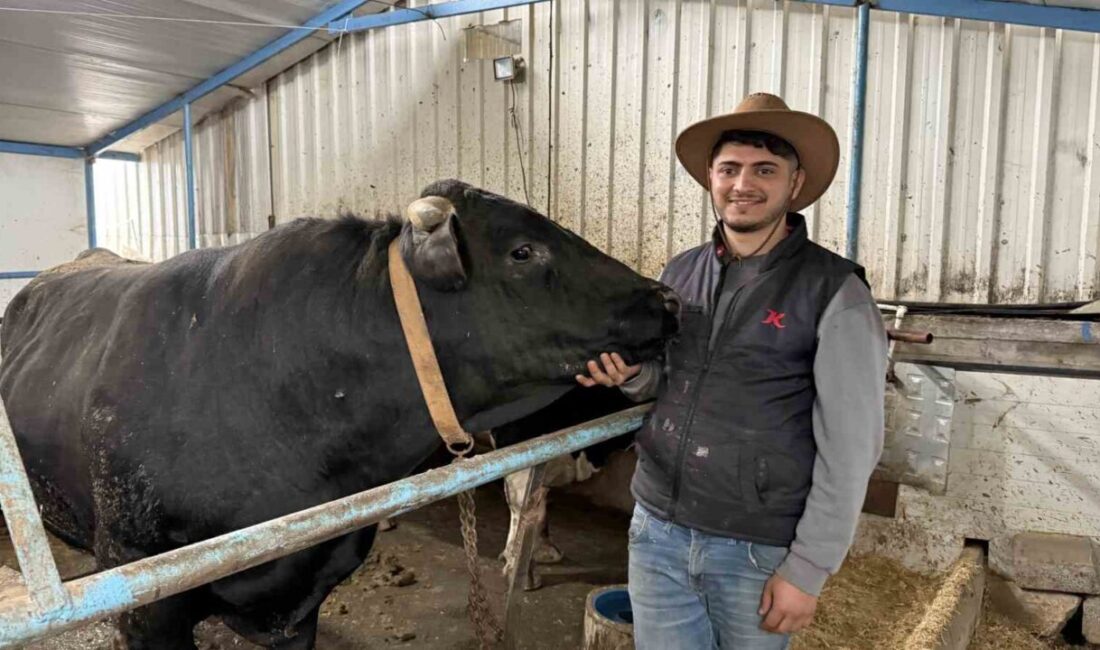 Kurban Bayramı’nın yaklaşmasıyla birlikte Sakarya’daki hayvan pazarlarında hareketlilik başladı. Pazara