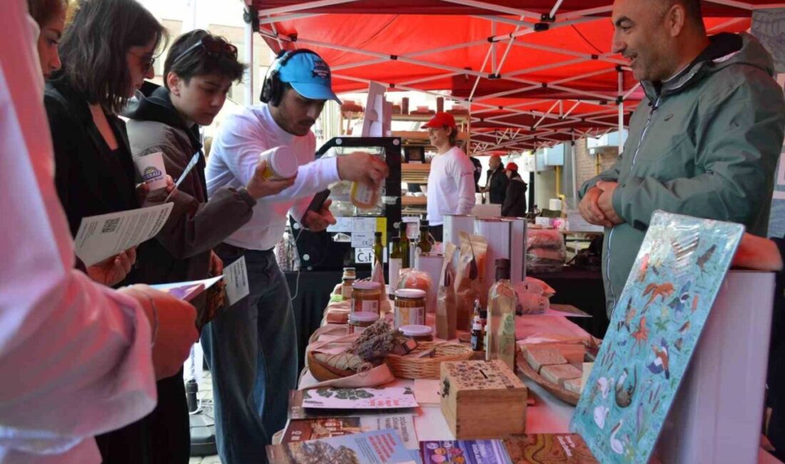 Bolu’nun Mengen ilçesinde 83 üniversiteden akademisyen ve öğrencilerin katılımıyla düzenlenen