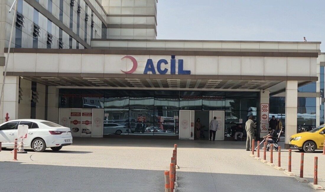 Bahar aylarının etkisini göstermesiyle birlikte polen kaynaklı şikayetlerde artış yaşanırken,