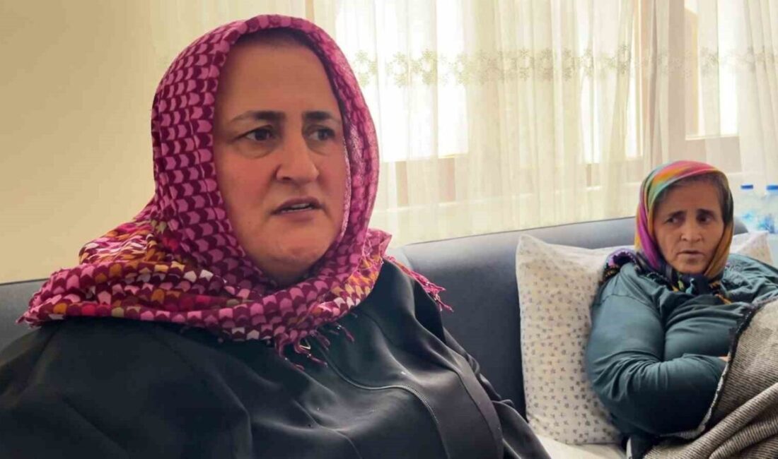 Bolu’da 77 yaşındaki yatalak annesine bakması için işe aldığı kişinin,