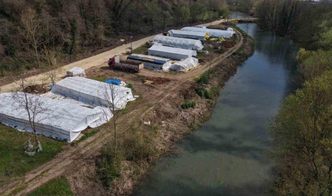 Başiskele Belediyesi, Kurban Bayramı öncesi Doğantepe Mahallesi’nde hizmete sunduğu hayvan