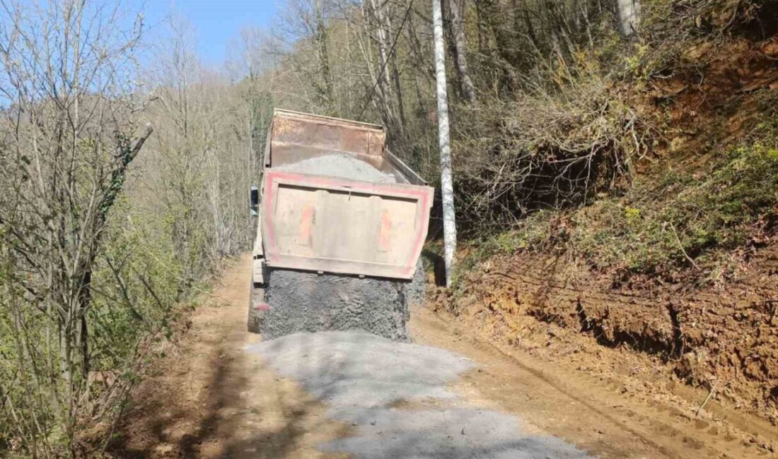 DÜZCE (İHA) – Düzce İl Özel İdaresi tarafından Gölyaka ilçesine