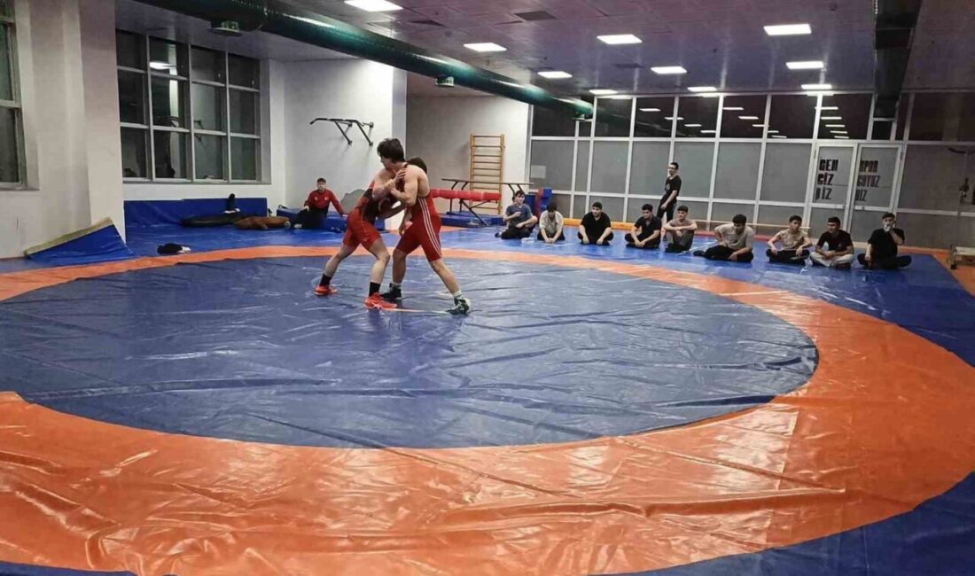Bilecikli güreşçiler, teknik ve taktik antrenmanlarla geleceğe hazırlanıyor. Bilecik Gençlik
