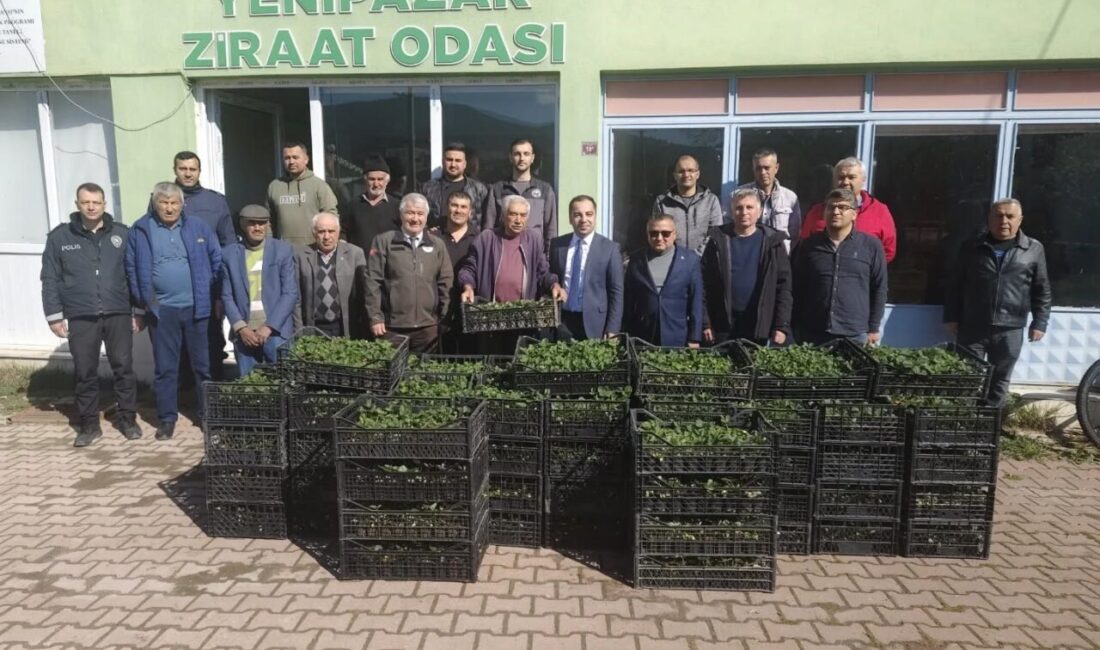 Bilecik’in Yenipazar ilçesinde 8 bin çilek fidesi üreticiyle buluştu. Tarımsal