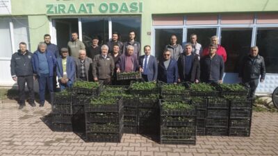 Bilecik’in Yenipazar ilçesinde 8 bin çilek fidesi üreticiyle buluştu. Tarımsal