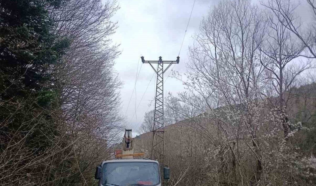 Bilecik’in Bozüyük ilçesinde yüksek gerilim hattındaki arızayı gidermek isteyen işçi,