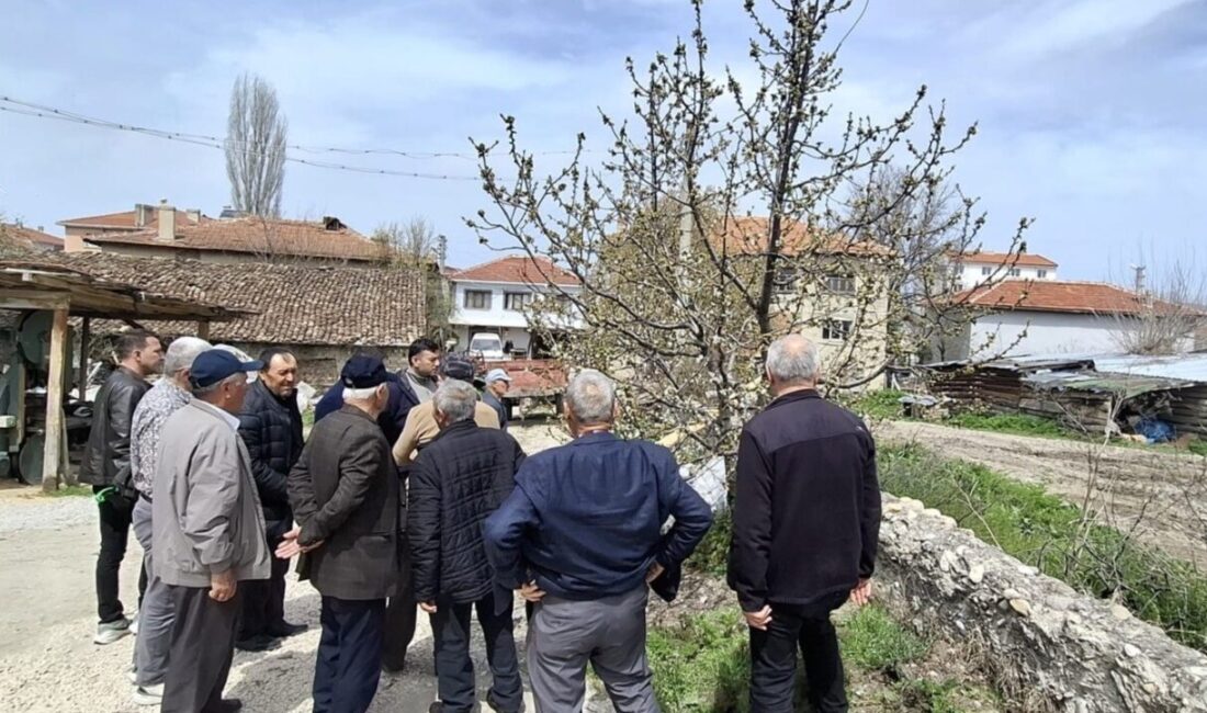 Bilecik’in Yenipazar ilçesinde üreticilere yönelik gübreleme ve budama eğitimi gerçekleştirildi.
