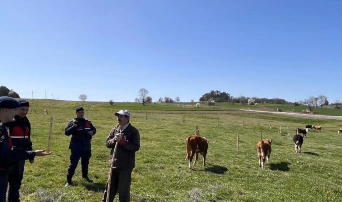 Bilecik’in Yenipazar ilçesinde, hayvan hırsızlığı ve dolandırıcılık uyarısı yapıldı. İlçe