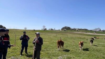 Bilecik’in Yenipazar ilçesinde, hayvan hırsızlığı ve dolandırıcılık uyarısı yapıldı. İlçe
