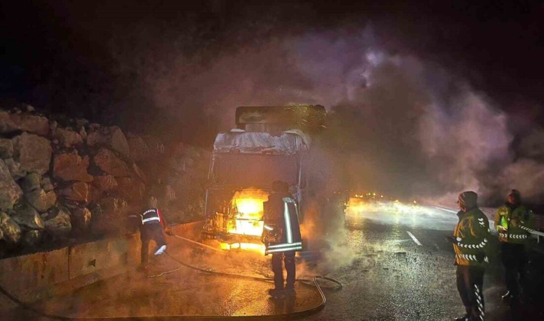 Bilecik’te seyir halindeyken aniden alev alan tır araç kullanılmaz hale