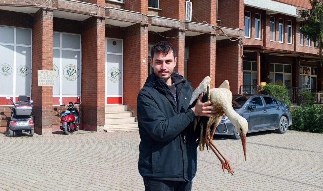 Bilecik’in Bayırköy beldesinde yaralanan leylek koruma altına alındı. Bayırköy beldesinde