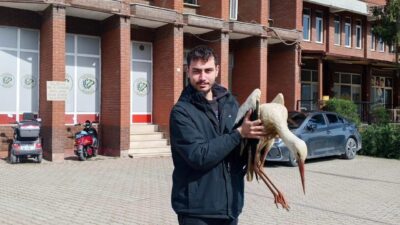 Bilecik’in Bayırköy beldesinde yaralanan leylek koruma altına alındı. Bayırköy beldesinde