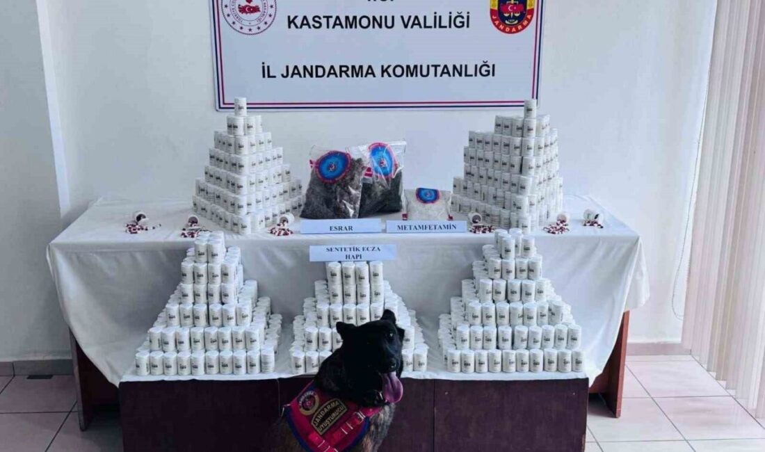 Kastamonu’da gerçekleştirilen operasyonda 69 bin 407 adet sentetik ecza hapıyla