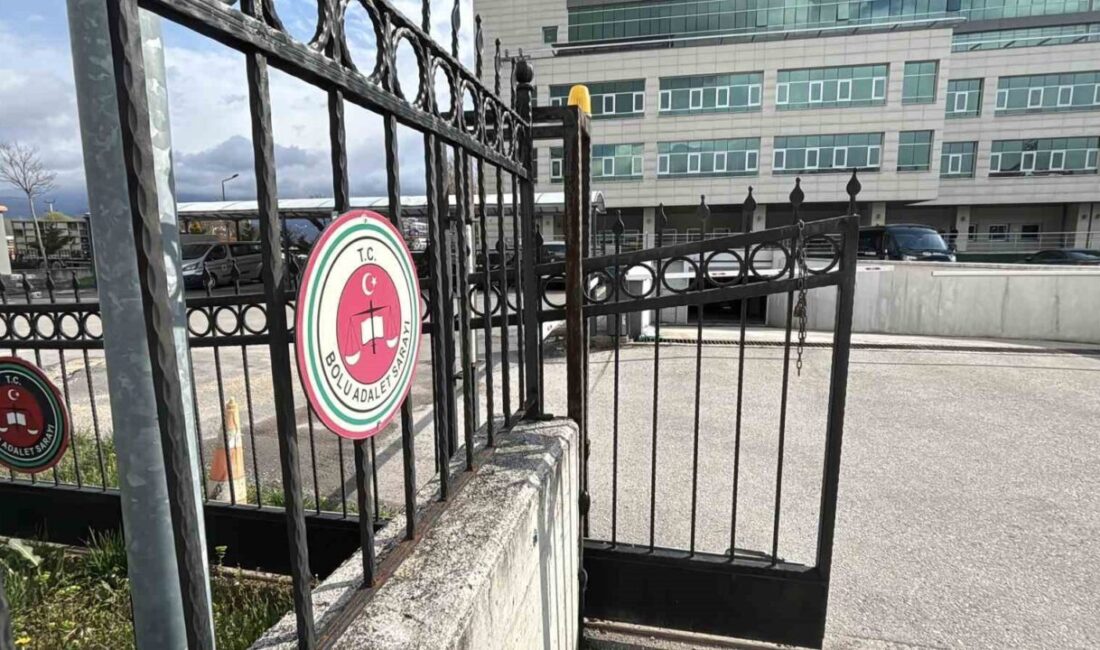 Bolu’da sabah saatlerinde jandarma ekipleri tarafından yapılan operasyonla gözaltına alınan