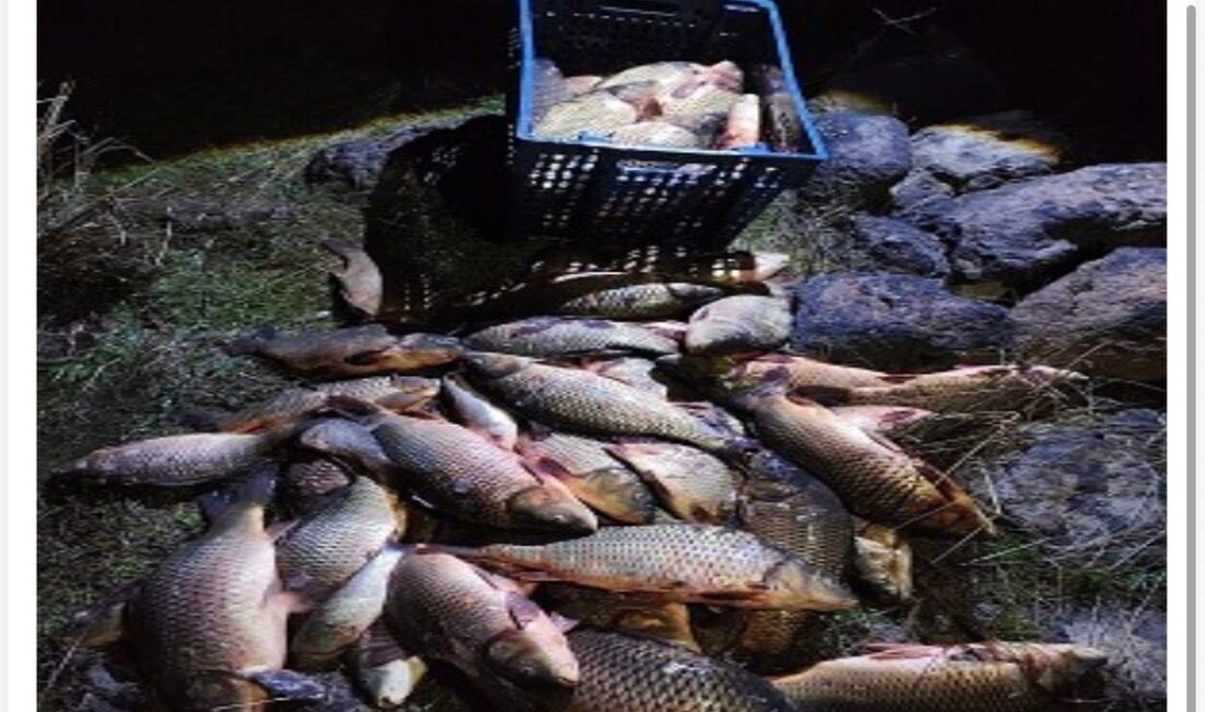 Bolu’nun Seben ilçesinde jandarma ekiplerince gölette yapılan denetimlerde, kaçak ağlara