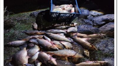 Bolu’nun Seben ilçesinde jandarma ekiplerince gölette yapılan denetimlerde, kaçak ağlara