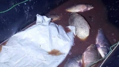 Bolu’nun Seben ilçesinde jandarma ekiplerince gerçekleştirilen operasyonda, Seben Göleti’ne yasa