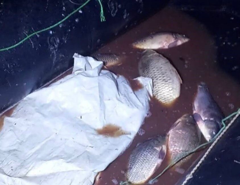 Bolu’nun Seben ilçesinde jandarma ekiplerince gerçekleştirilen operasyonda, Seben Göleti’ne yasa