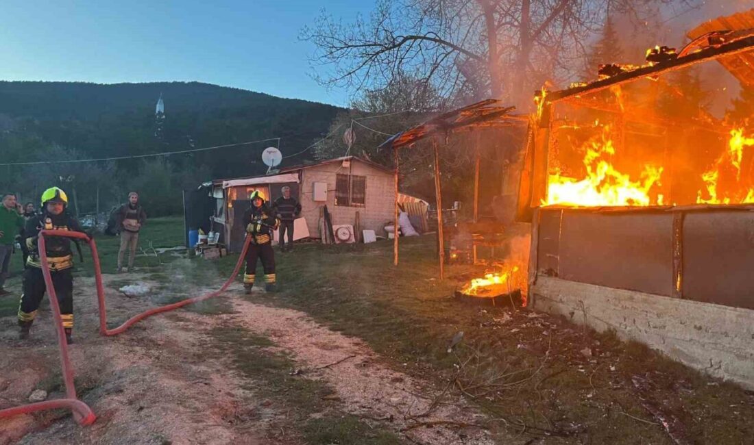 Bolu’da alevlere teslim olan baraka kullanılamaz hale geldi. Yangın, Salıbeyler