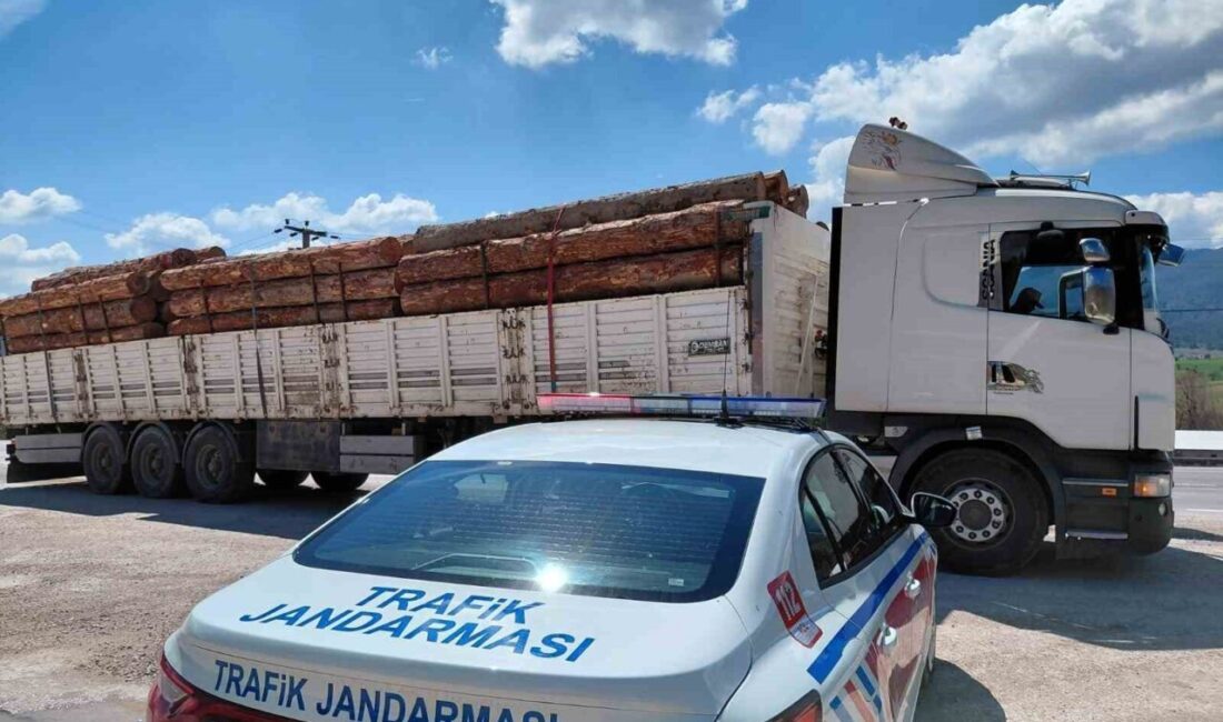 Bolu’nun Mudurnu ilçesinde jandarma trafik ekipleri tarafından gerçekleştirilen yol kontrollerinde,