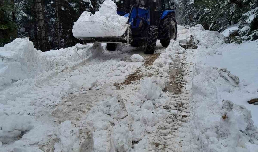 Bolu’nun yüksek kesimlerinde etkili olan kar yağışı nedeniyle ulaşıma kapanan