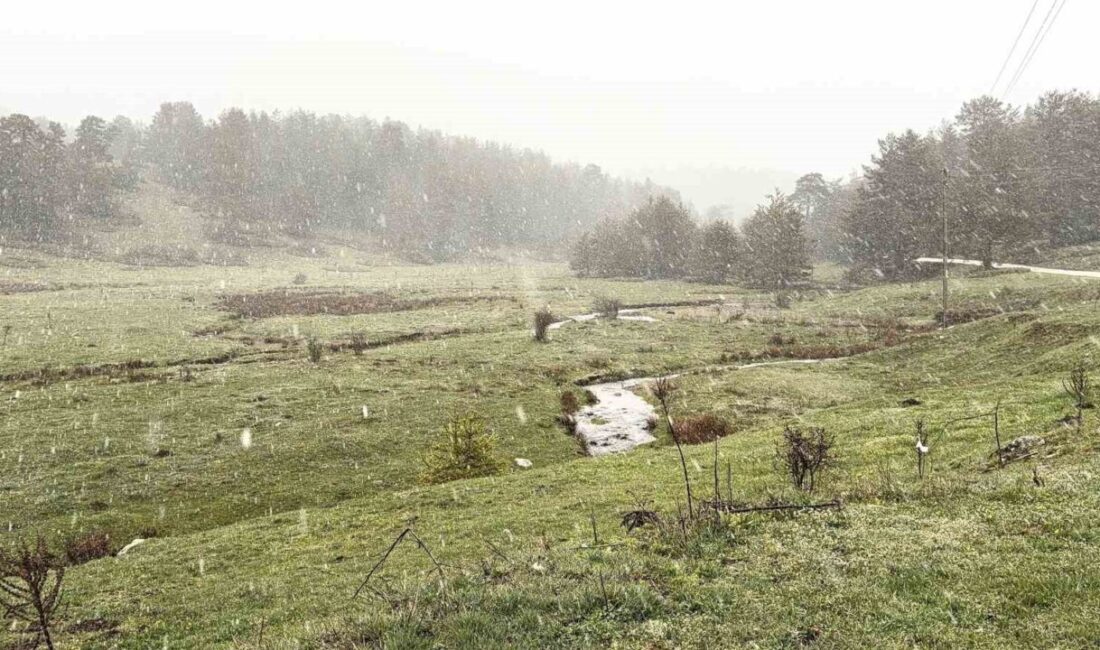 Bolu’da hava sıcaklıklarının aniden düşmesiyle birlikte yüksek kesimlerde kar yağışı