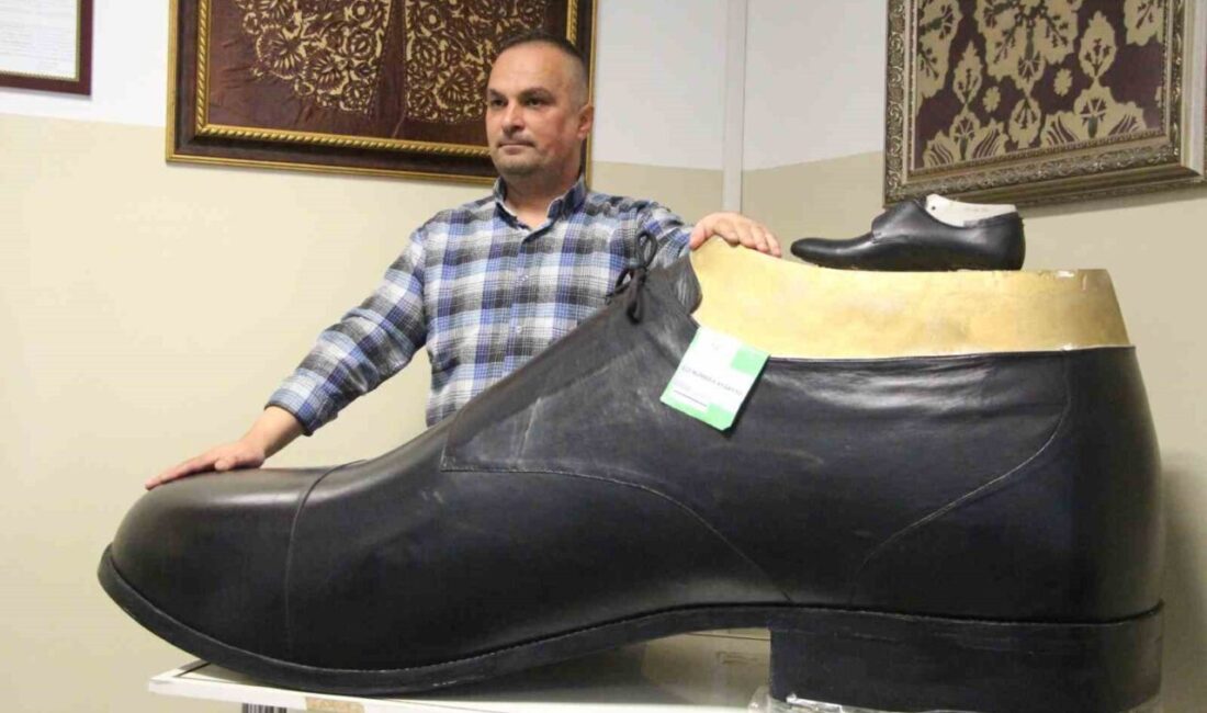 Bolu’nun Gerede ilçesinde meslek yüksekokulu öğrencileri ve bir tekniker tarafından