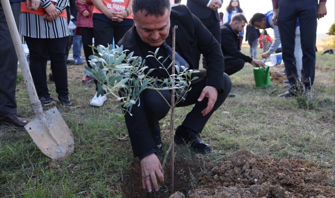 Bilecik Şeyh Edebali Üniversitesi (BŞEÜ) Genç (Türkiye Erozyonla Mücadele, Ağaçlandırma