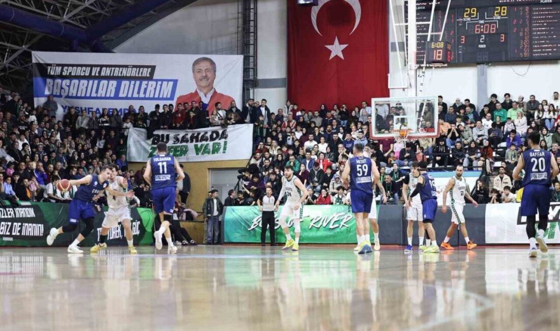 Sakarya Büyükşehir Belediyesi Basketbol Takımı, Türkiye Erkekler Basketbol 2. Ligi