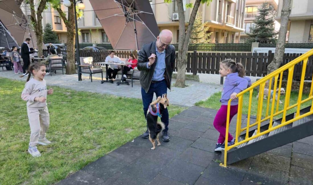 Düzce’de 5 yıl önce sokaktan sahiplenilen ve internetteki videolar yardımıyla