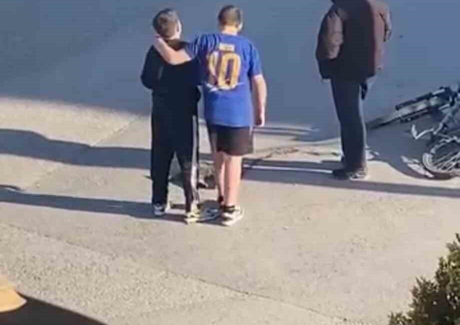 Kocaeli’nin Gölcük ilçesinde otomobilin çarpması sonucu yaralanan kediye mahalledeki çocuklar