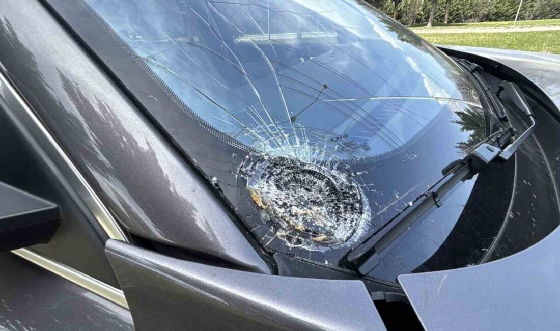 Bolu’da D-100 kara yolunda yolun karşısına geçtiği sırada cipin çarpması