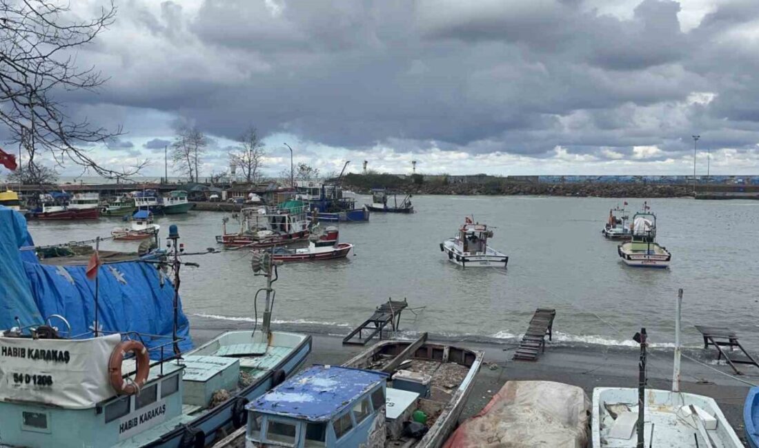 DÜZCE(İHA) – Düzce İl Tarım ve Orman Müdürlüğü denizlerde su