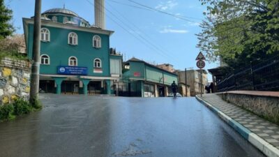 Dilovası’nda belediye ekipleri tarafından halk sağlığını korumak ve çevre estetiğini