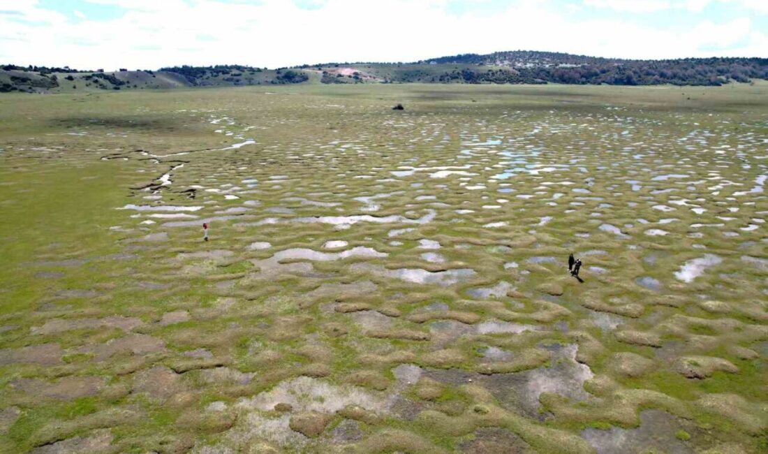 Sakarya’nın Taraklı ilçesinde bulunan Karagöl Yaylası, havadan çekilen görüntülerle doğal